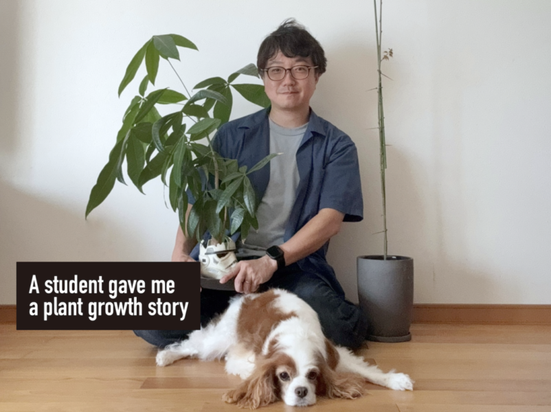 ダイソーのパキラが成長し犬と一緒に撮影した画像