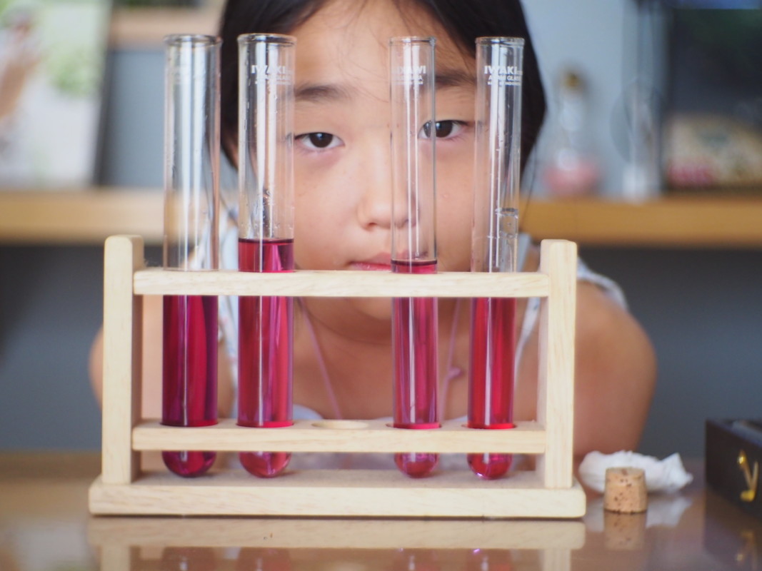 親子で一緒に自宅でプチ研究
