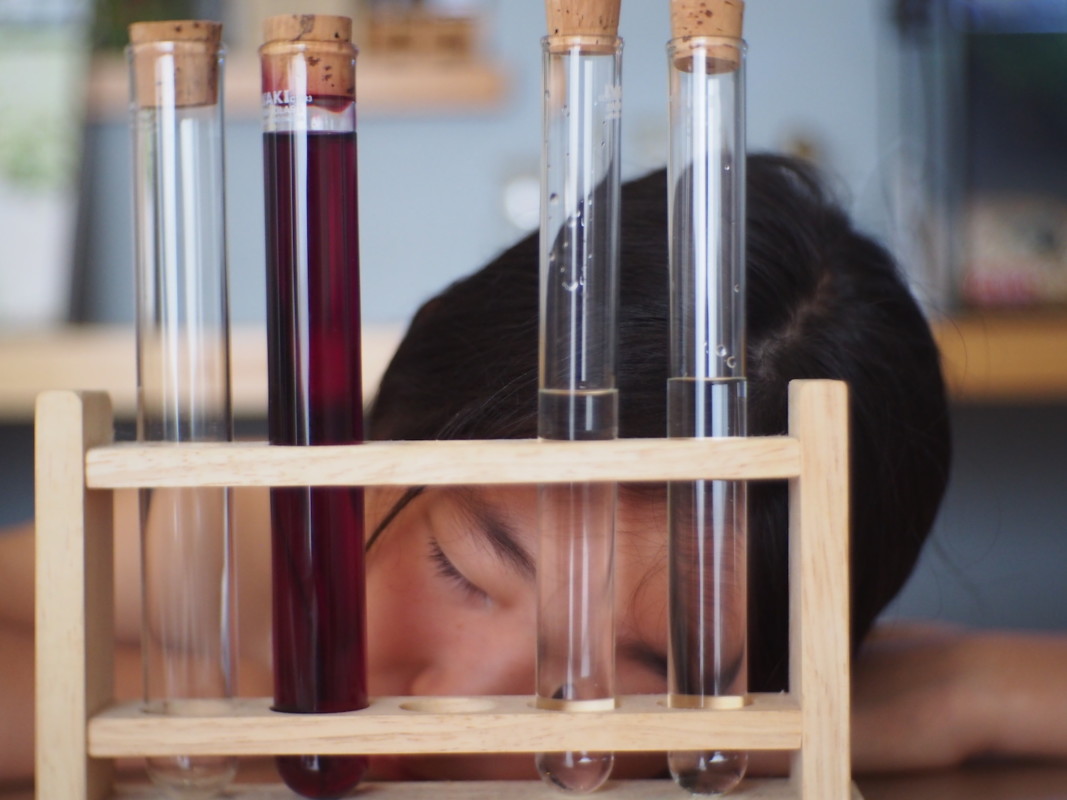 アルカリ性・酸性の実験