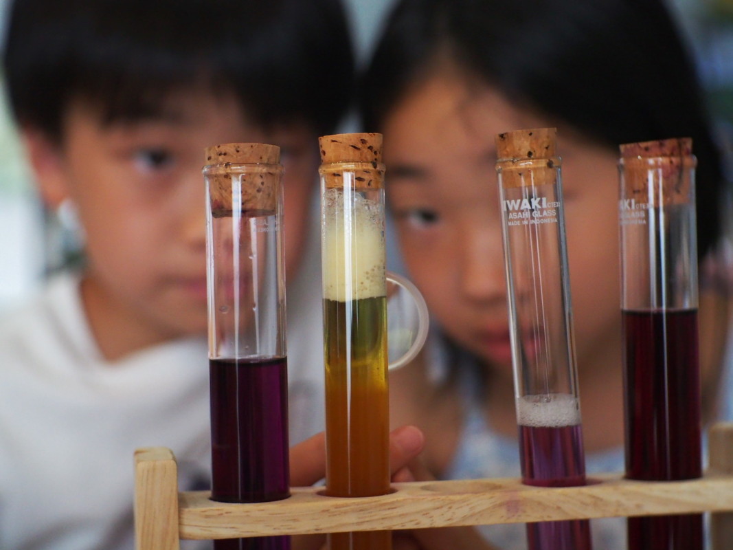 親子で一緒に自宅でプチ研究