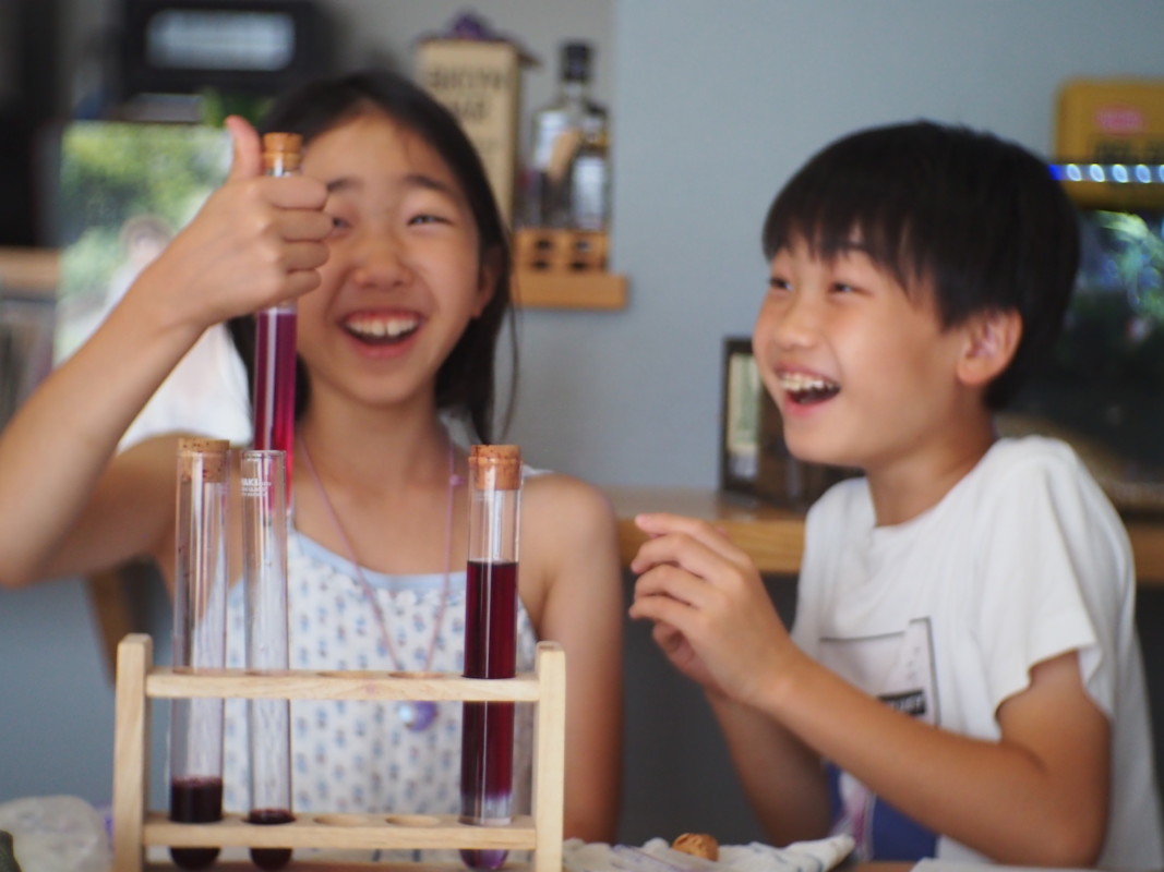 親子で一緒に自宅でプチ研究