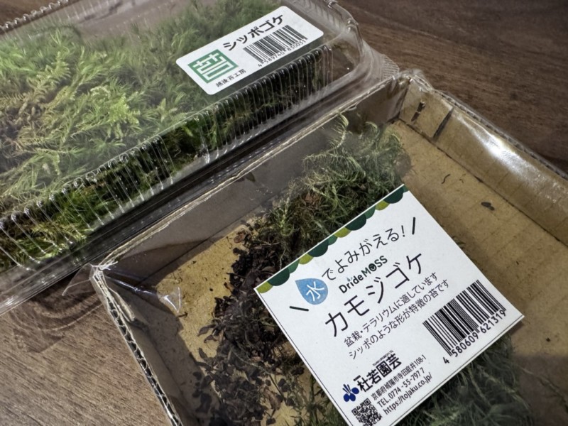 カモジゴケ・シッポゴケの市販品