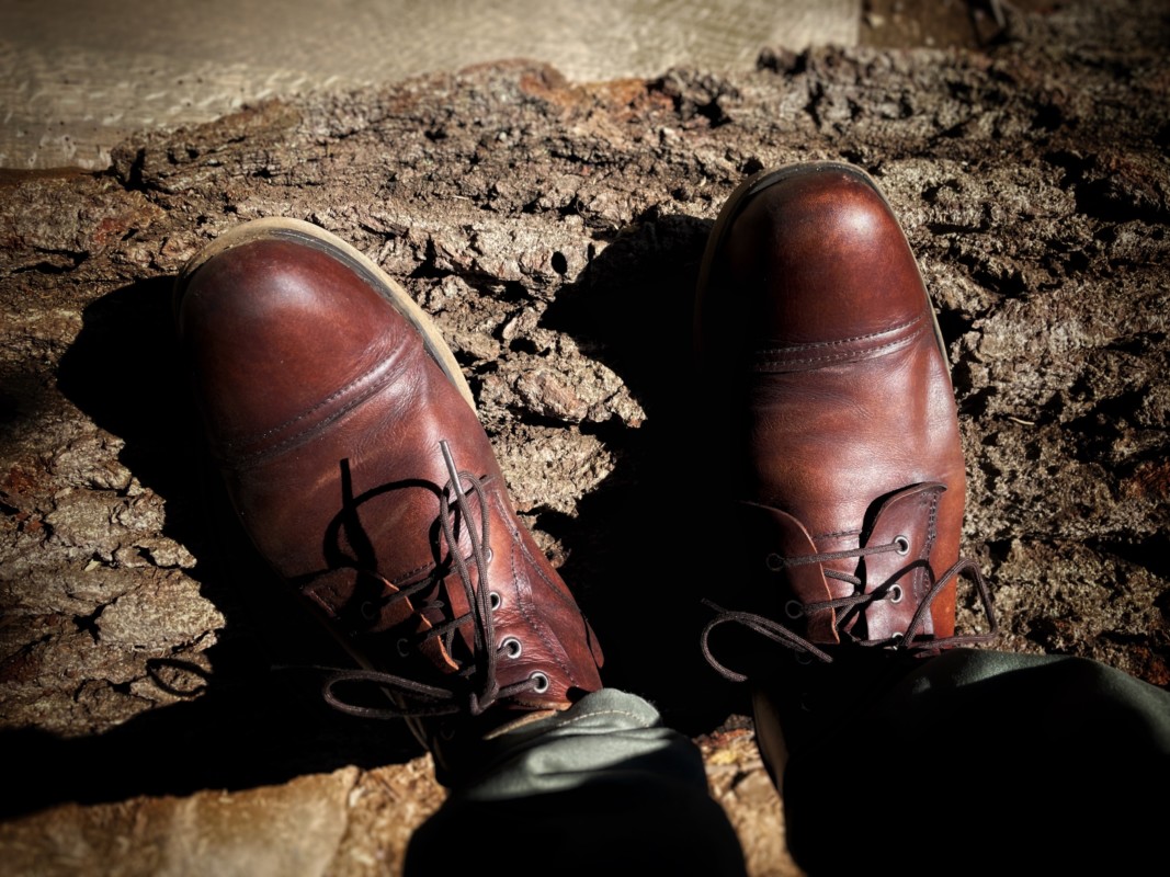 エイトボア チャッカブーツ