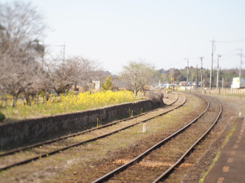 小湊鐵道のホーム