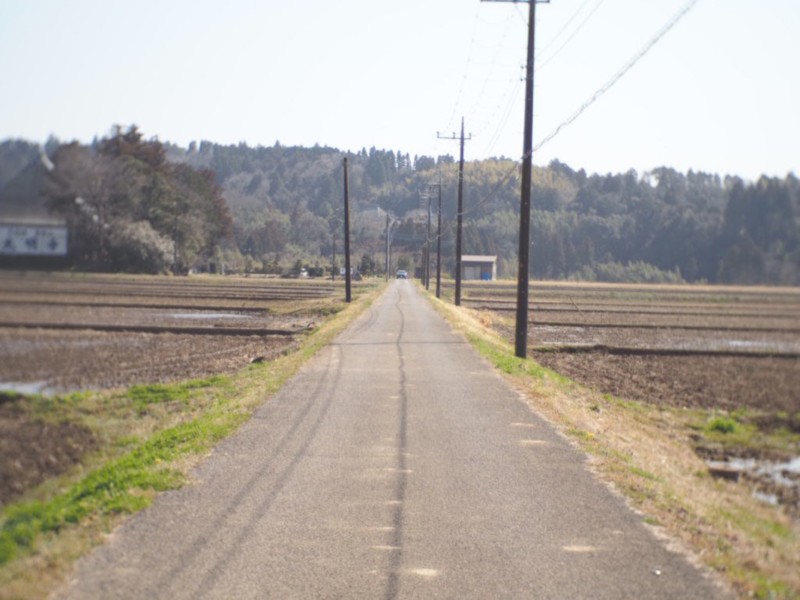 小湊鐵道の近くの田んぼ