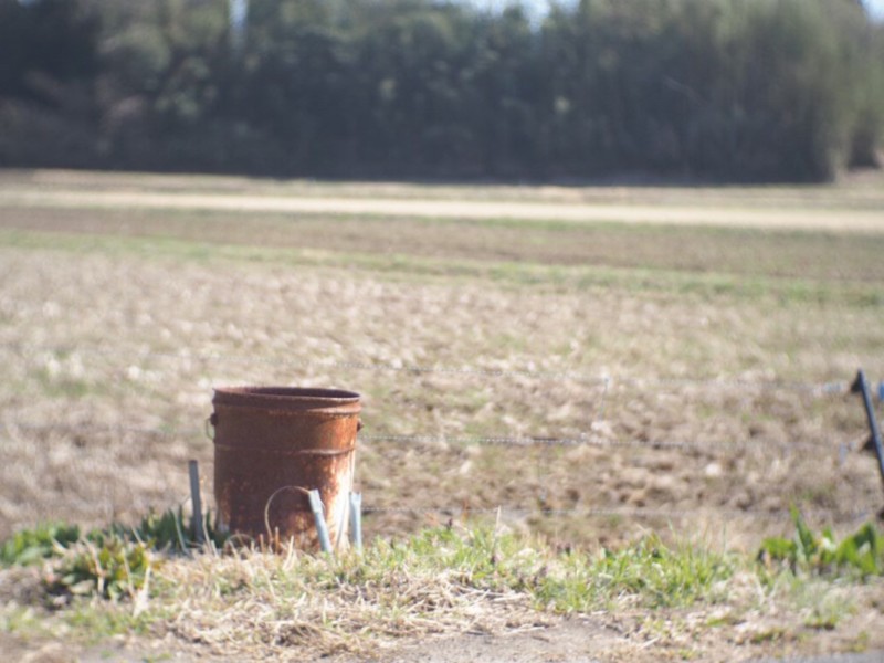 小湊鐵道の近くのあぜ道