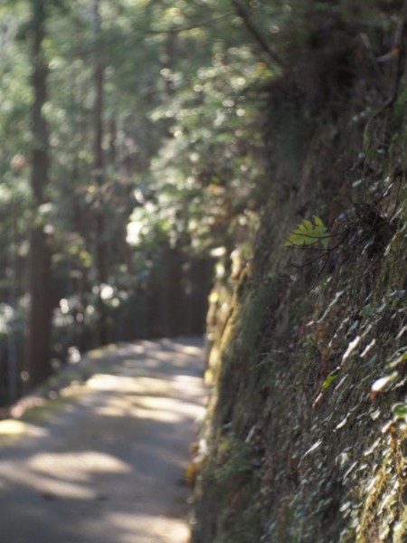 養老渓谷駅周辺の出世観音