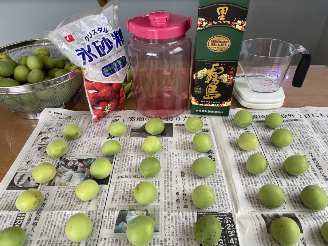 黒霧島で梅酒づくり