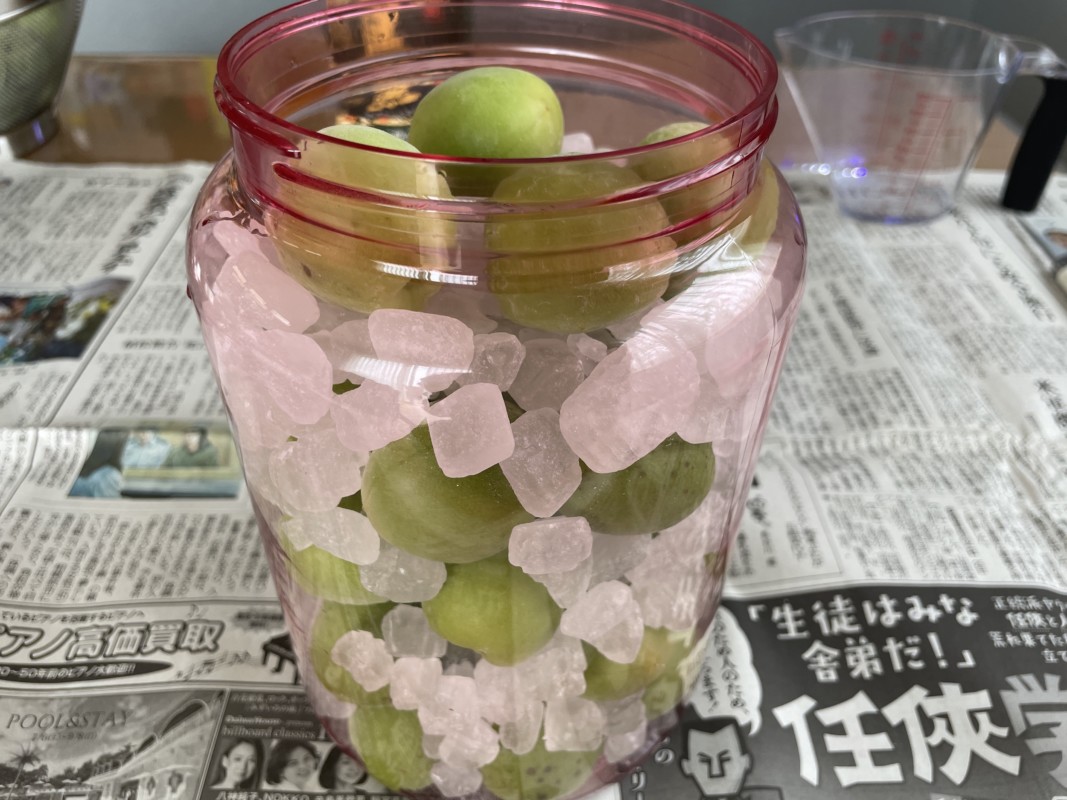 黒霧島で梅酒づくり