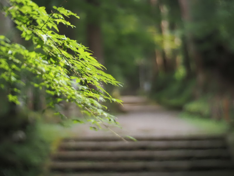 最乗寺に向かう道