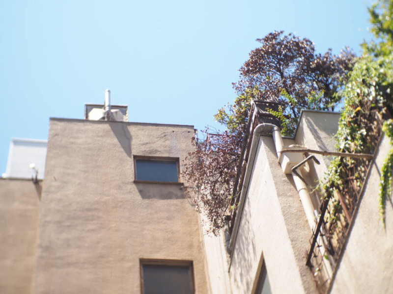 伊勢佐木町商店街の路地裏にあるベランダに木々が植えられたビルを下からみた画像