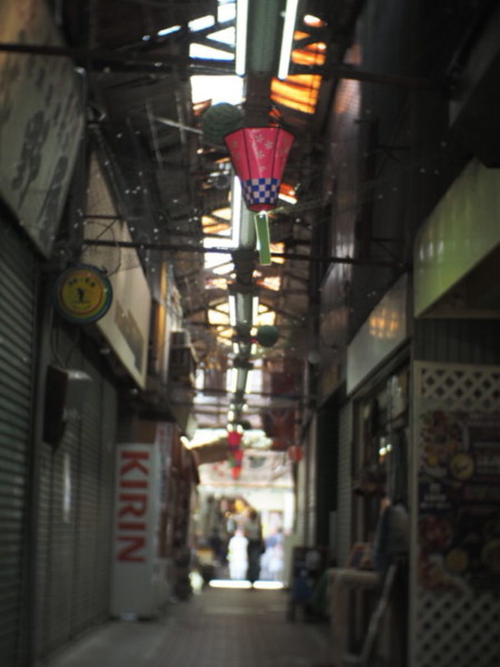 六角橋仲見世通の通路暗い通りに天井から日光が注ぐアーケード街の様子