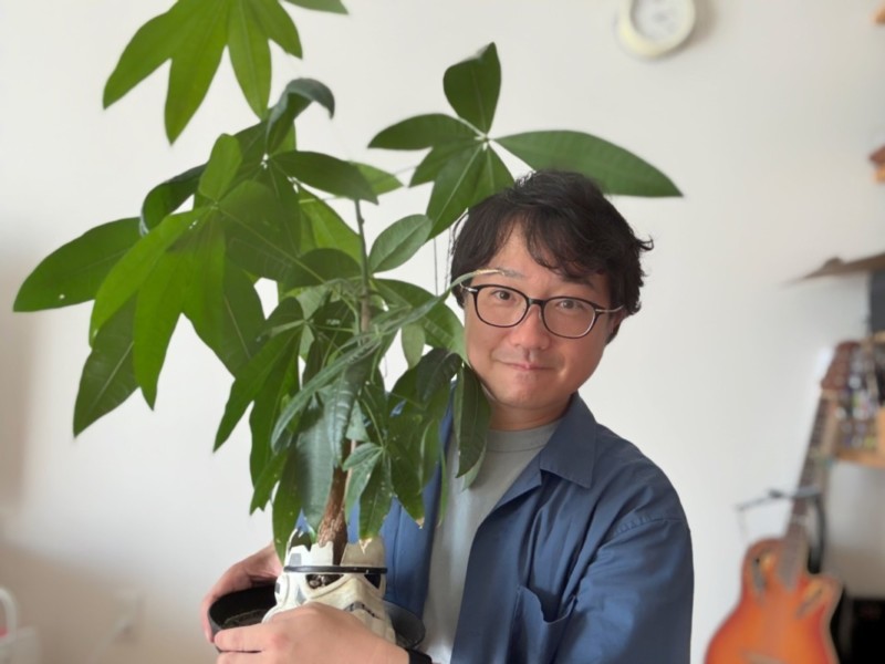 ダイソーのパキラを育てて4年半