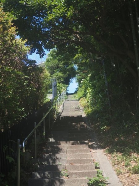 鎌倉山の石の階段が青空へ続いていく様子の画像