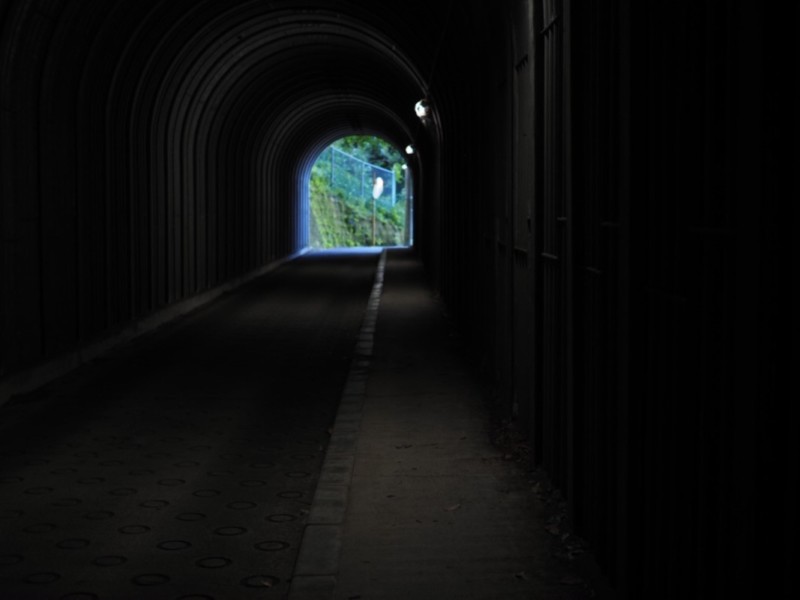 通称お化けトンネルと言われた極楽寺の隧道