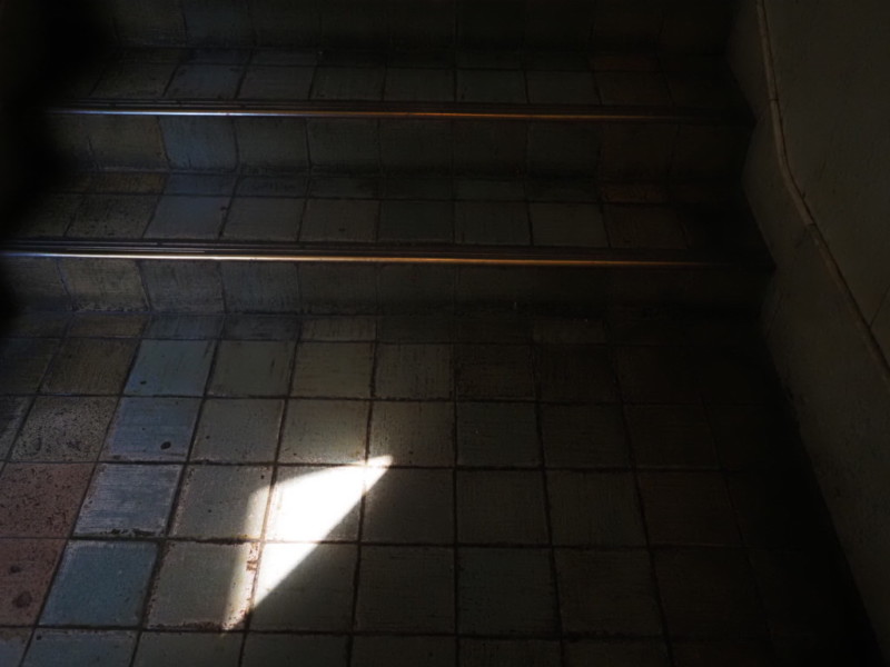 国立科学博物館の床のレトロな3色が並ぶ、正方形のタイル