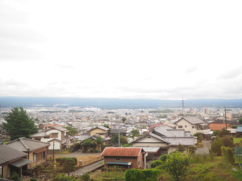 身延線の車窓から見える高台からの景色