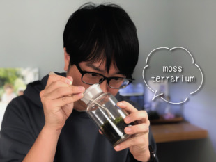 苔テラリウムは心のリフレッシュ