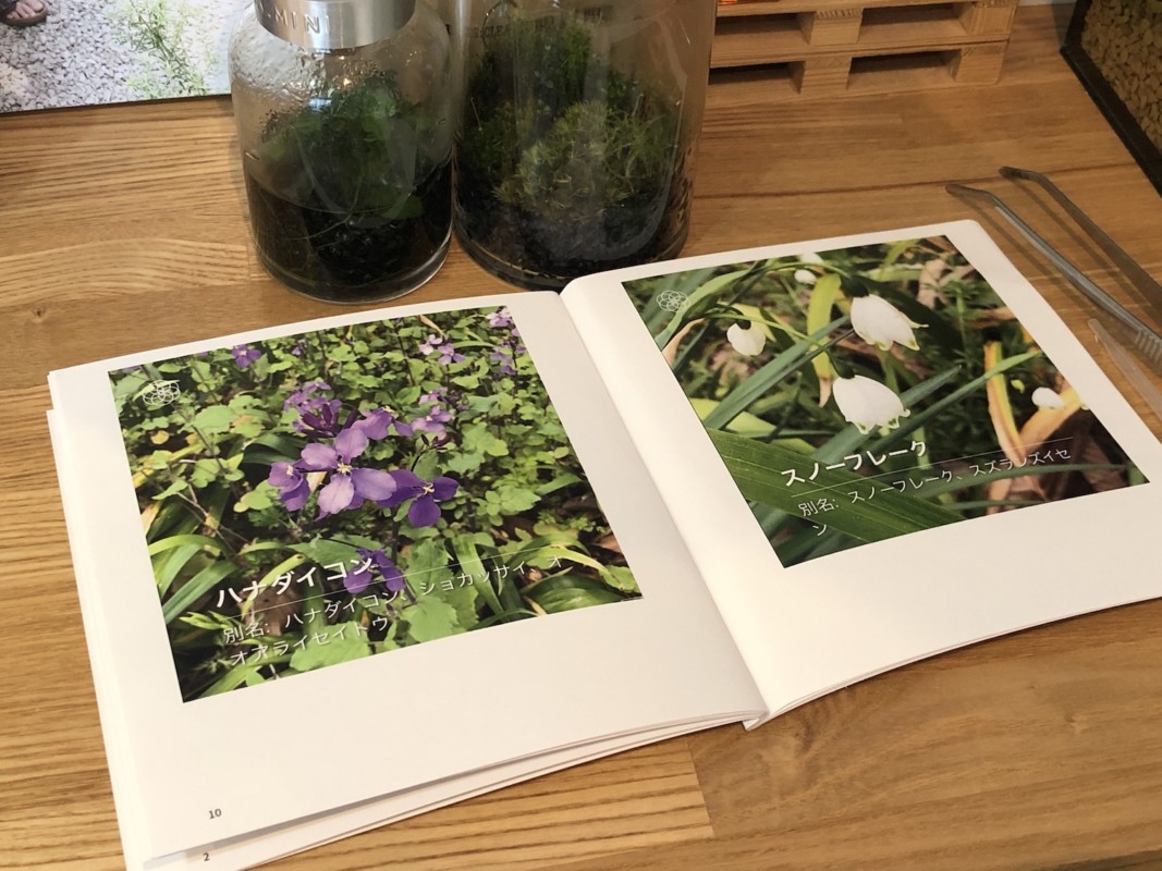 ハナノナ・ノハナで散歩が楽しくなる!!