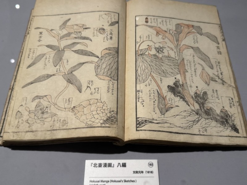HOKUSAI－ぜんぶ、北斎のしわざでした。展　北斎漫画2