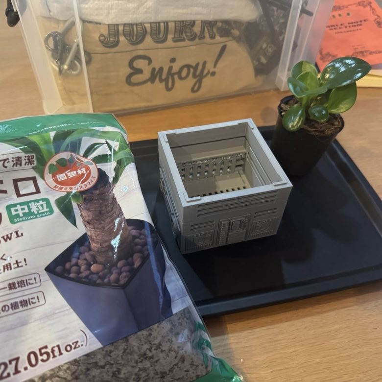 3Dプリンタで作った鉢植えと観葉植物（ペペロミア）