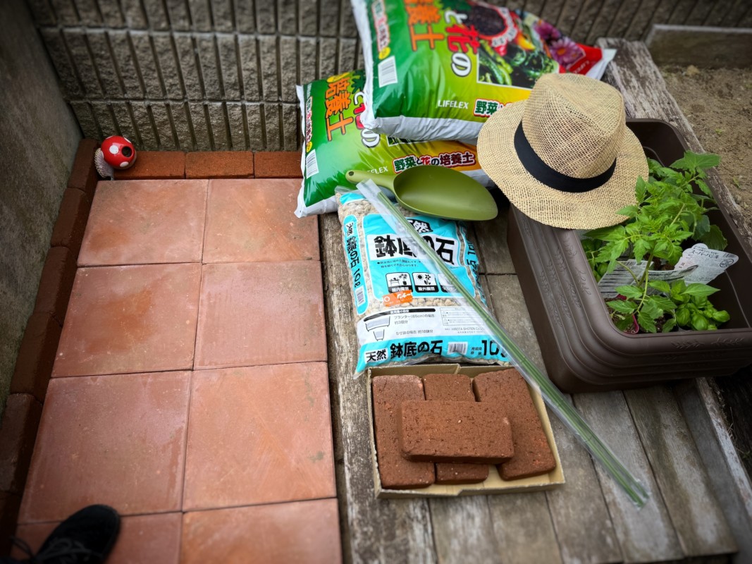 プランター菜園デビュー