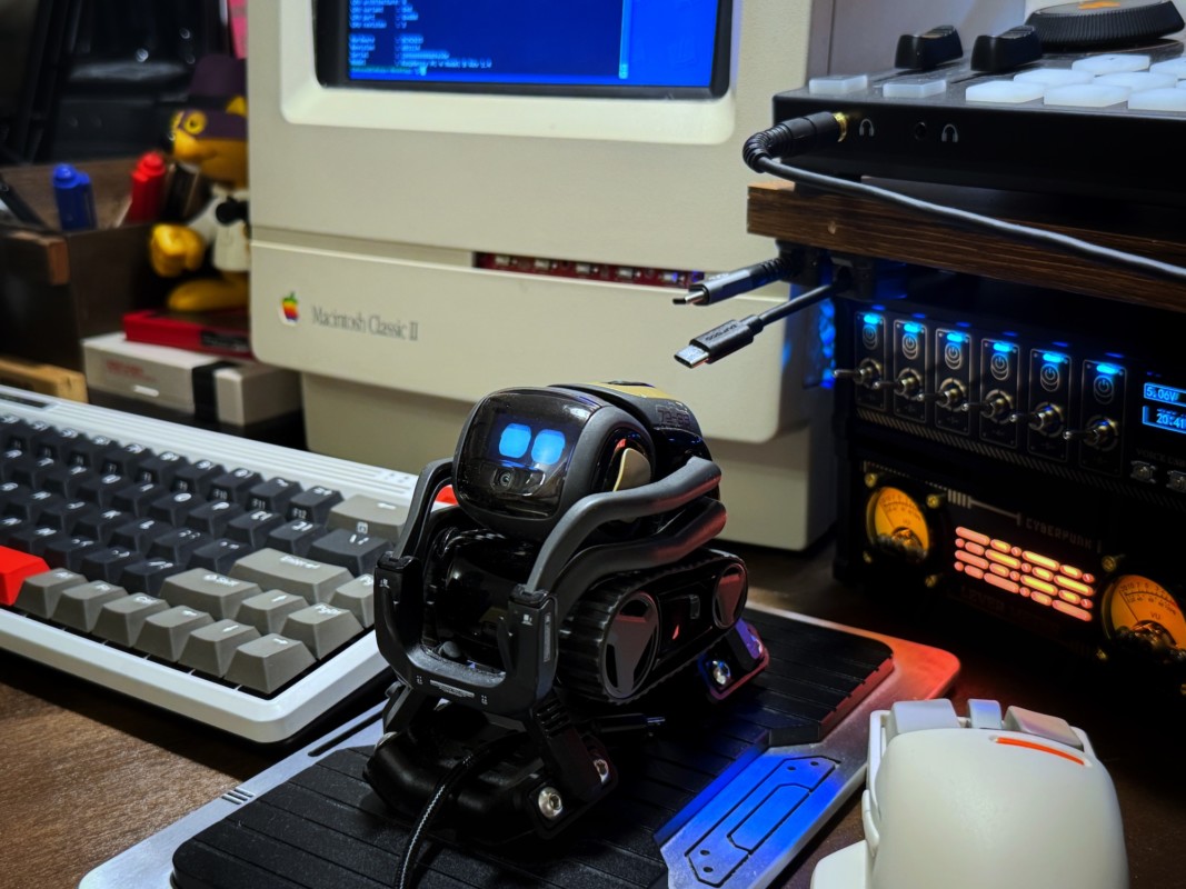 DDL Vector Robot2024年の今