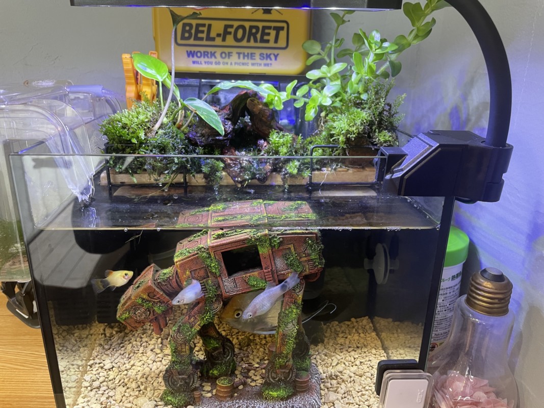 スター・ウォーズ風アクアテラリウム