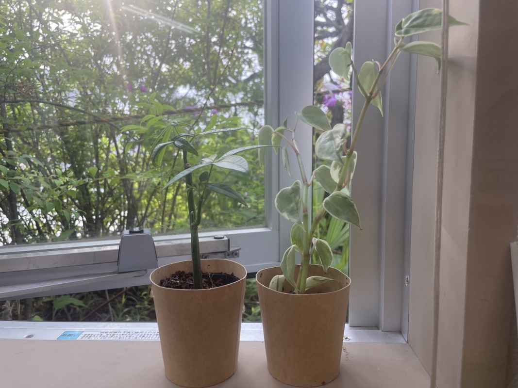 卒業生の置き土産