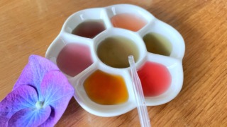 花で色水を作る