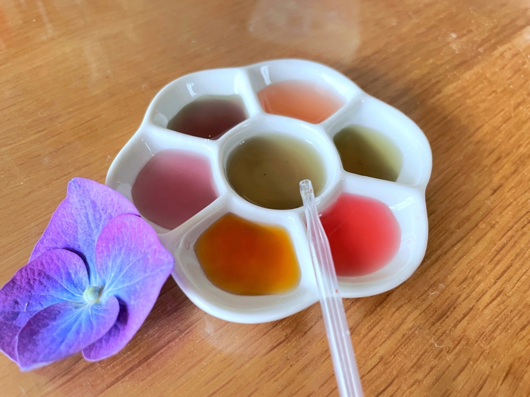 花で色水制作