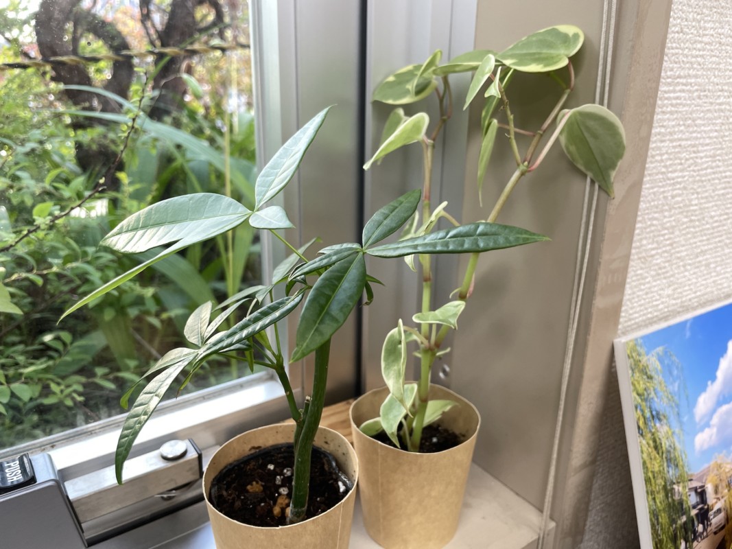 卒業生の置き土産