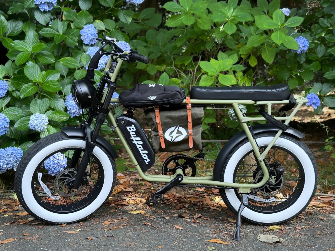 Buffalos電動アシスト自転車