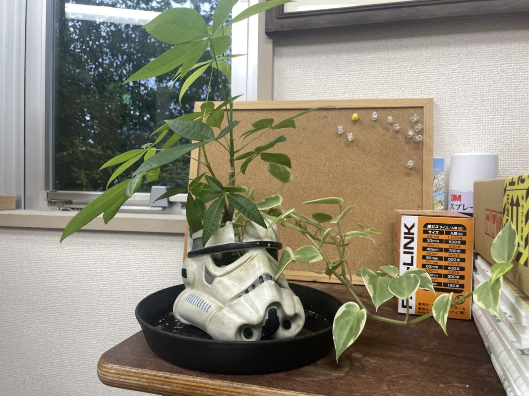 卒業生の置き土産