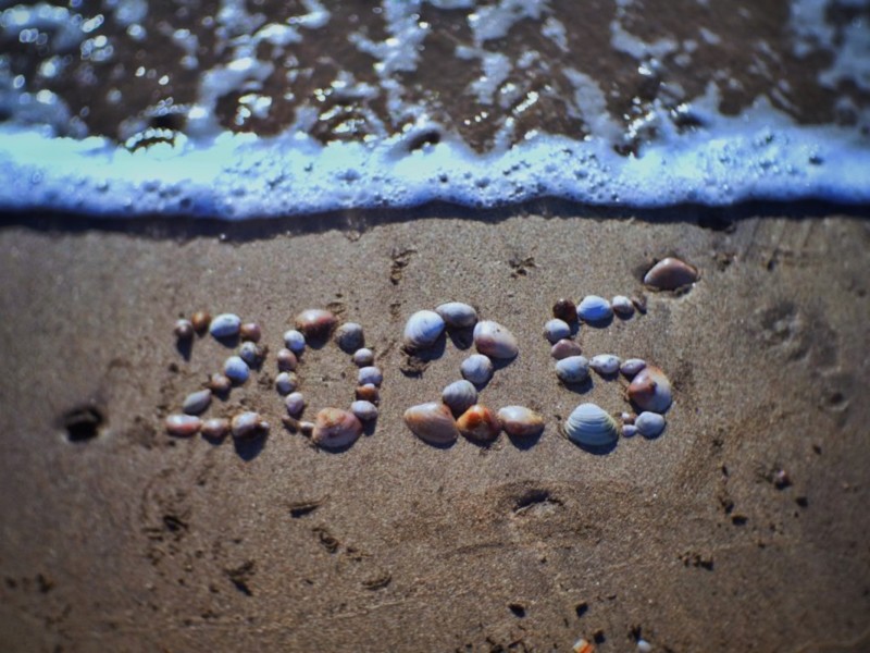 材木座海岸の貝｜OM-5と35mmCCTVレンズマニュアル