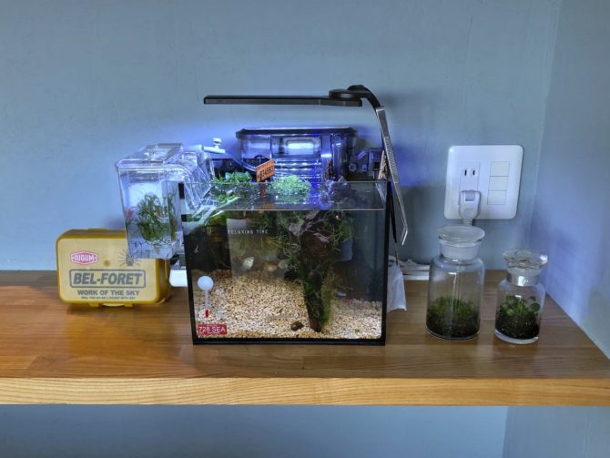 Sサイズ水槽に外付けサテライトを設置