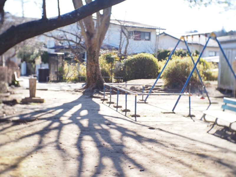 OM-5とマニュアルレンズで撮影した日常（光の講演）