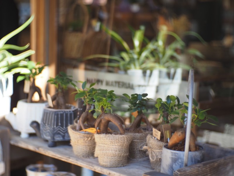 OM-5とマニュアルレンズで撮影した日常（雑貨屋の店頭）