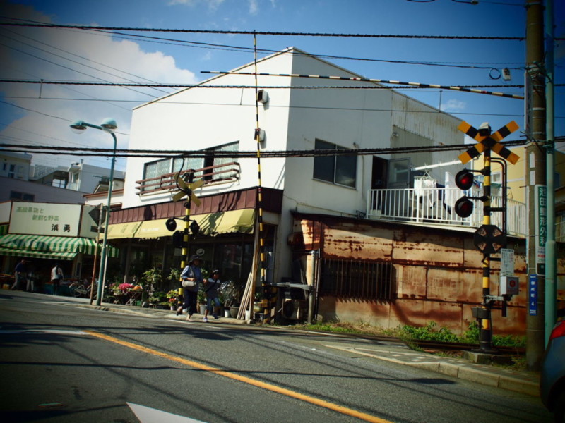 minox5.1で撮影した写真