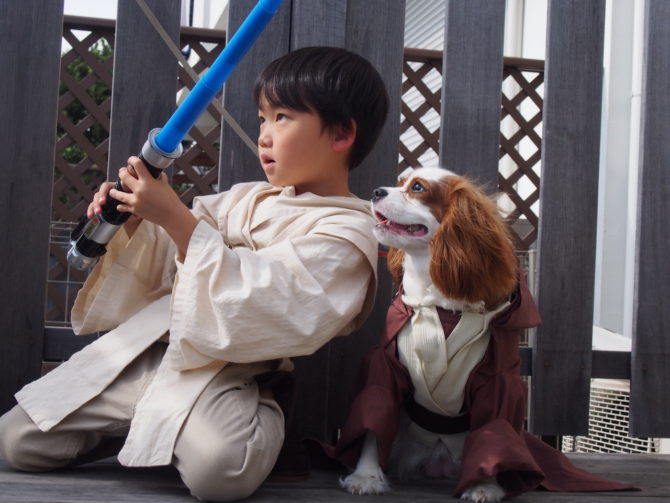 ジェダイマスター（犬）の衣装2