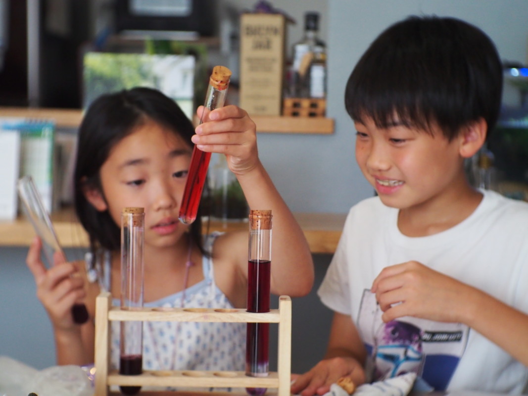 親子で一緒に自宅でプチ研究